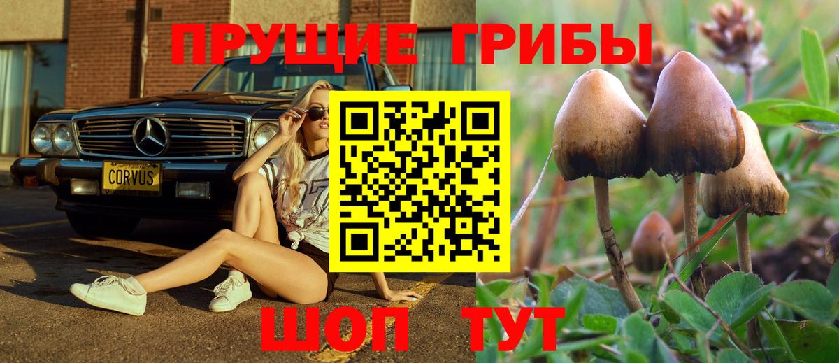 Калининград  Галлюциногенные грибы прущие грибы  Вход с VPN  Галлюциногенные грибы MAGIC MUSHROOMS 